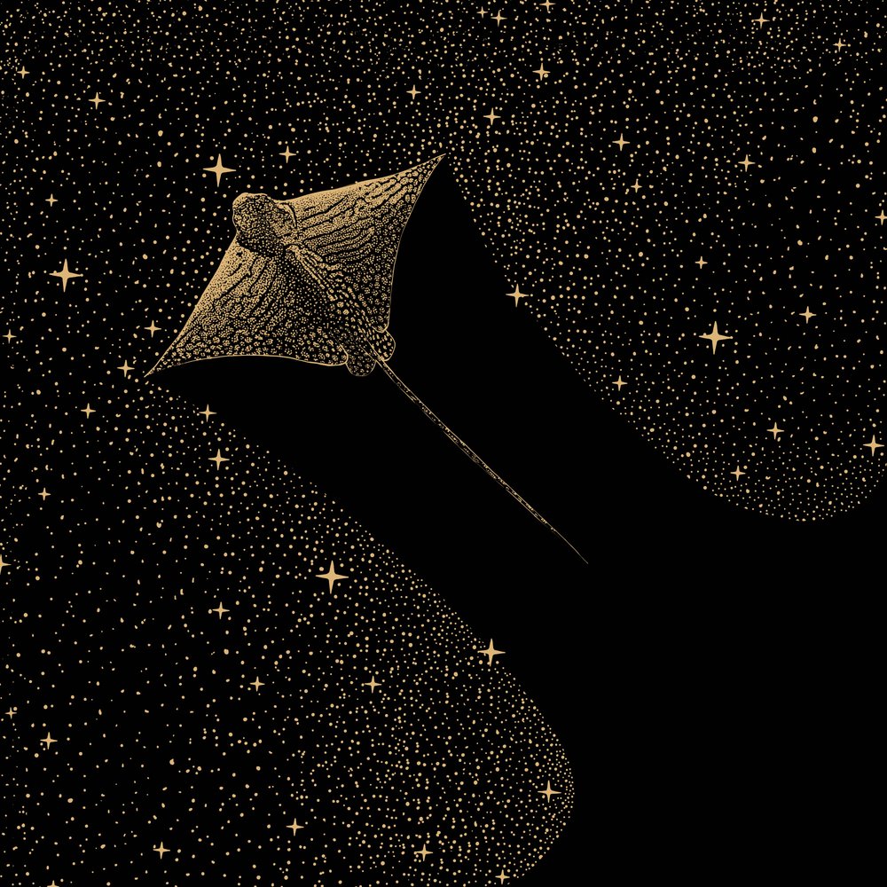 Kosmiczny orzeł morski autorstwa Alirıza ÇAKIR