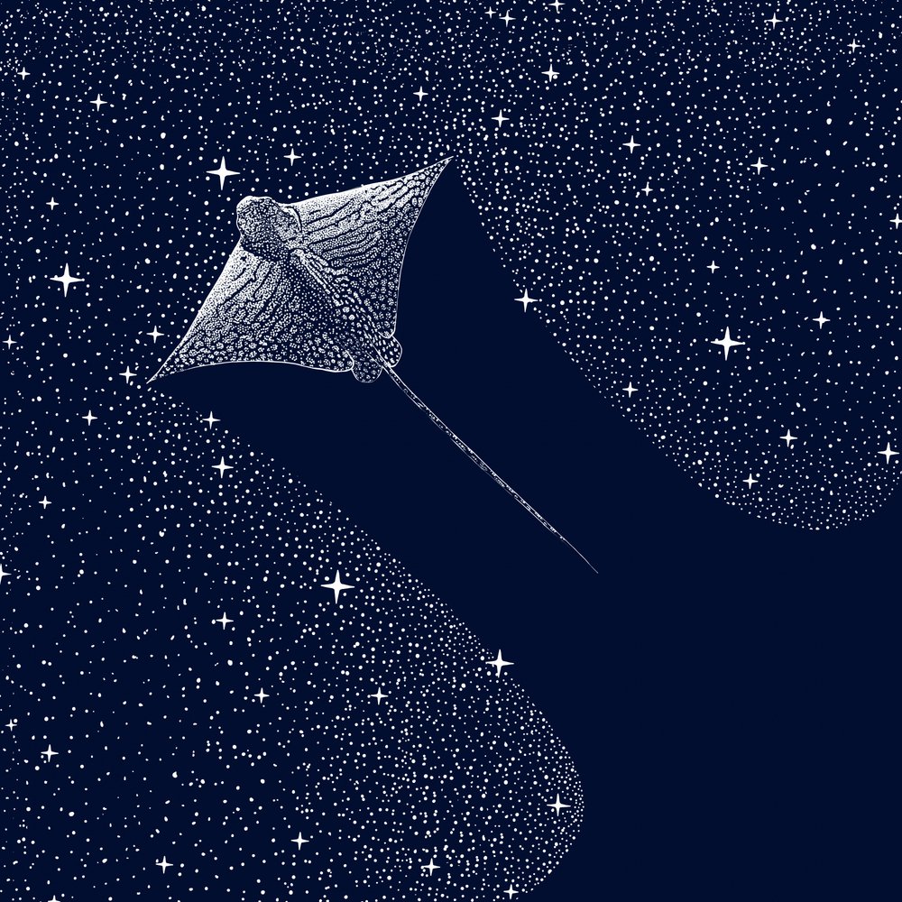 Kosmiczny orzeł morski autorstwa Alirıza ÇAKIR