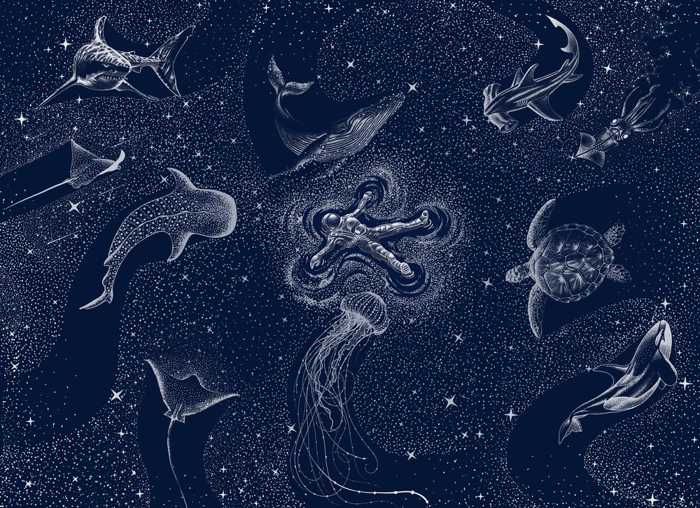 Kosmiczny sen o oceanie autorstwa Alirıza ÇAKIR