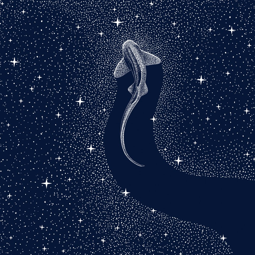 Kosmiczny rekin autorstwa Alirıza ÇAKIR