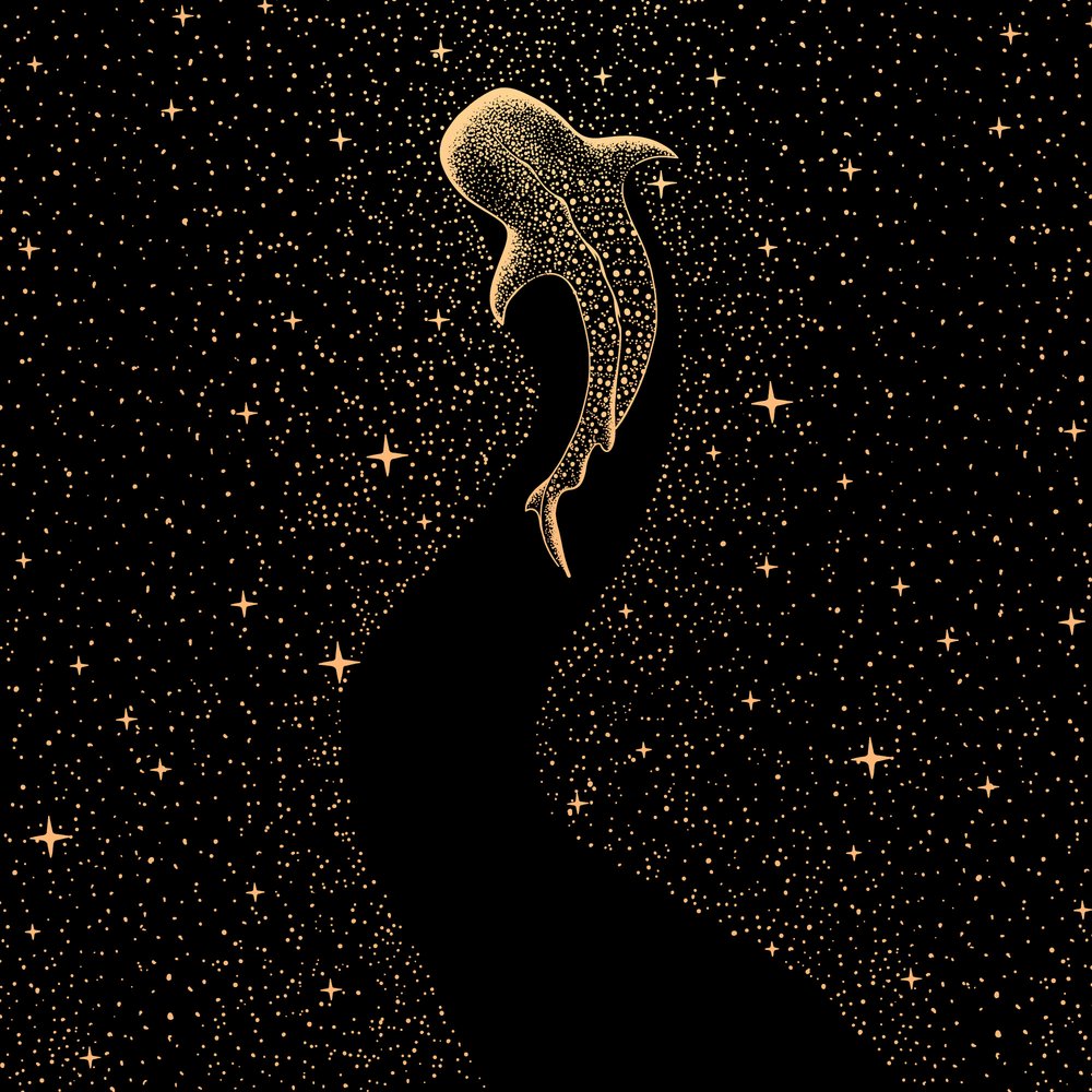 Kosmiczny rekin wielorybi autorstwa Alirıza ÇAKIR