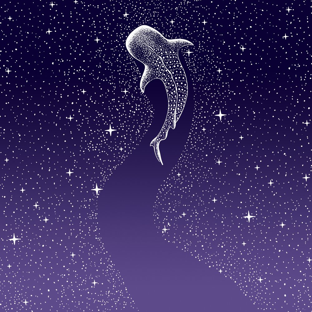 Star Eater – ciemnoniebieski z przejściem w fiolet autorstwa Alirıza ÇAKIR