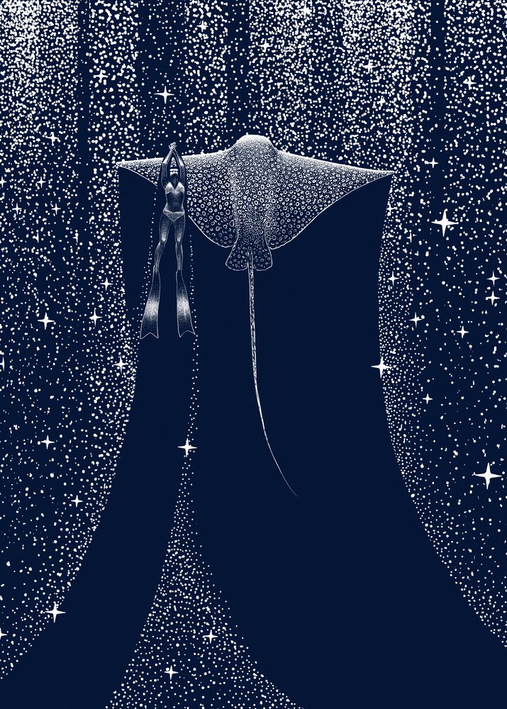 Przewodnik po Starlit Ray autorstwa Alirıza ÇAKIR