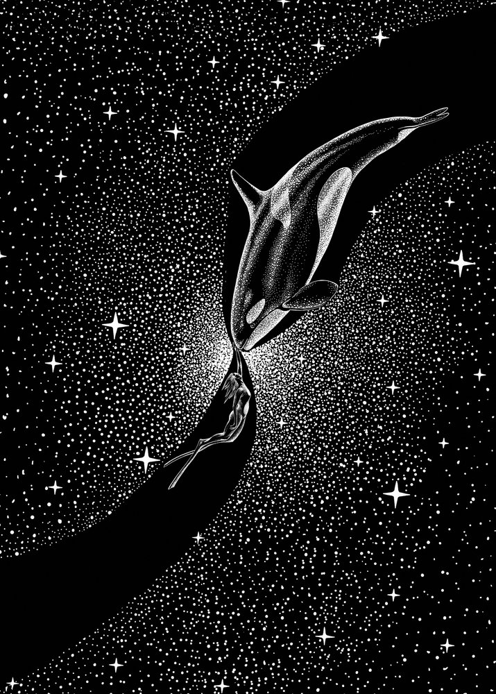 Gwiaździsty uścisk wieloryba autorstwa Alirıza ÇAKIR