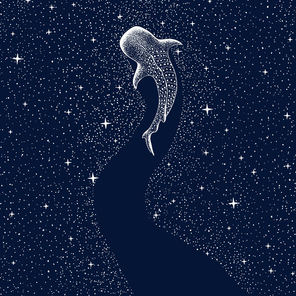 Gwiaździsty rekin wielorybi autorstwa Alirıza ÇAKIR