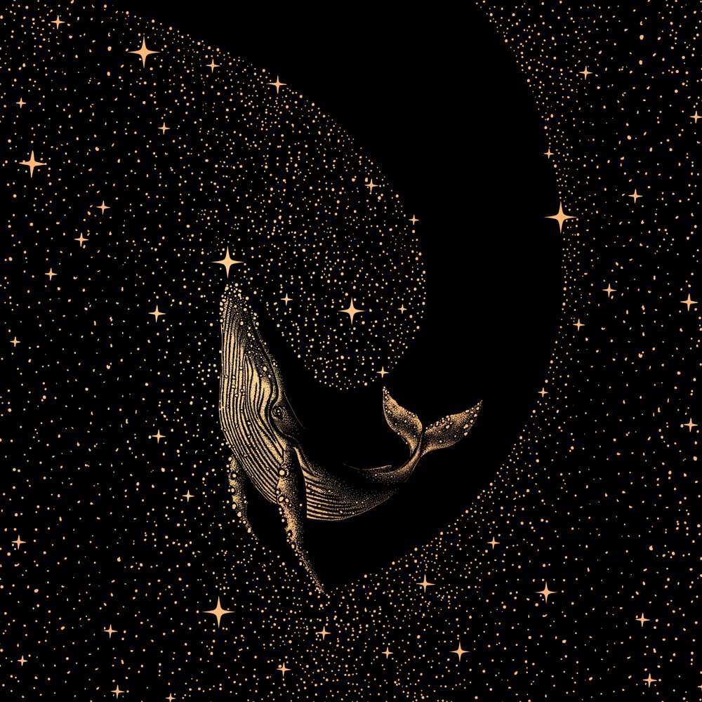 Wieloryb wśród gwiazd autorstwa Alirıza ÇAKIR