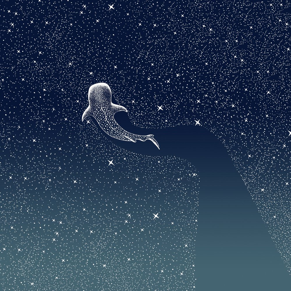 Galaktyka Rekina Wielorybiego autorstwa Alirıza ÇAKIR