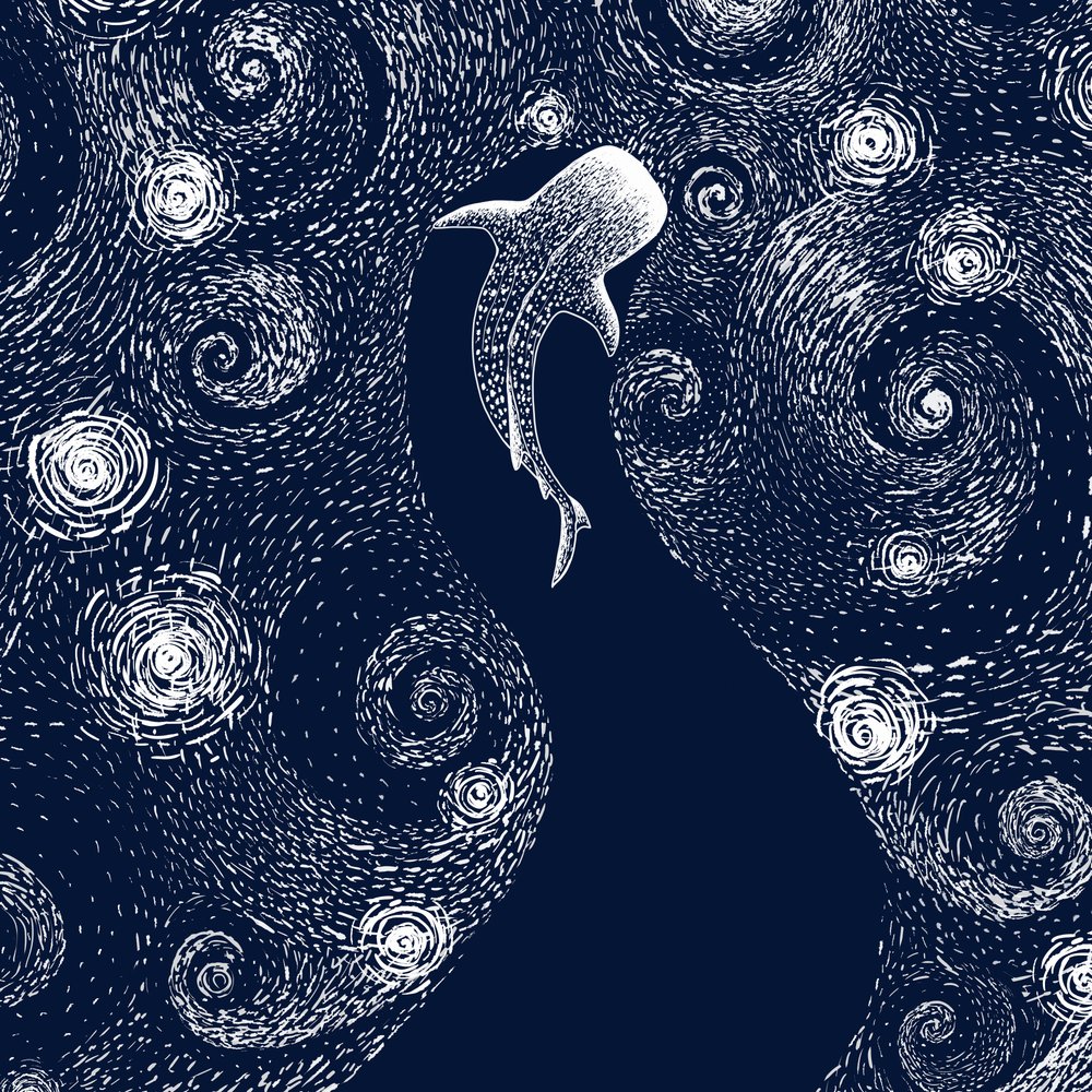 Rekin wielorybi w gwiaździstym oceanie autorstwa Alirıza ÇAKIR