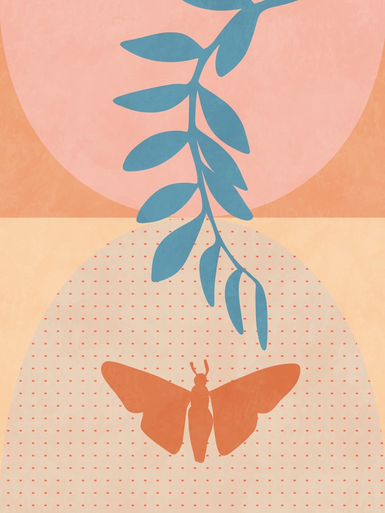 Spaces, marzec 2020 r., 1 egzemplarz autorstwa Ana Rut Bre