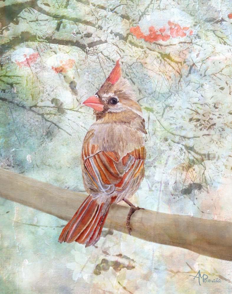  autorstwa Angeles M. Pomata