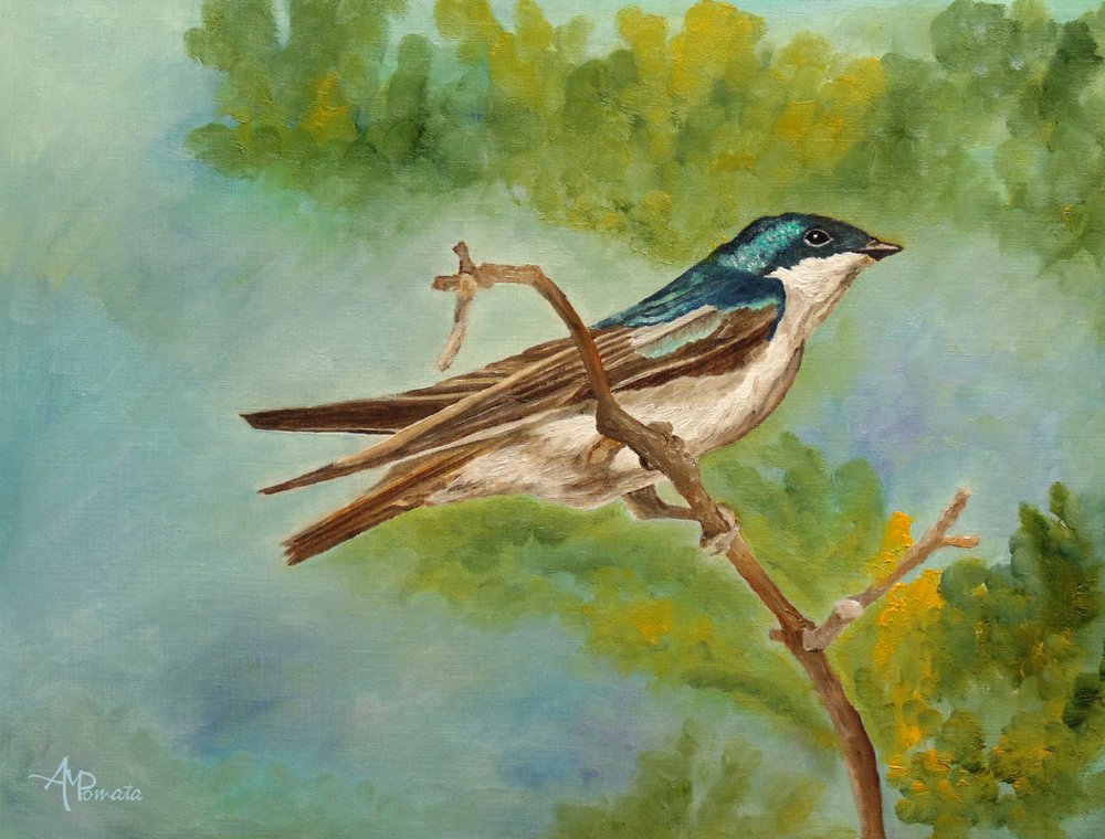  autorstwa Angeles M. Pomata