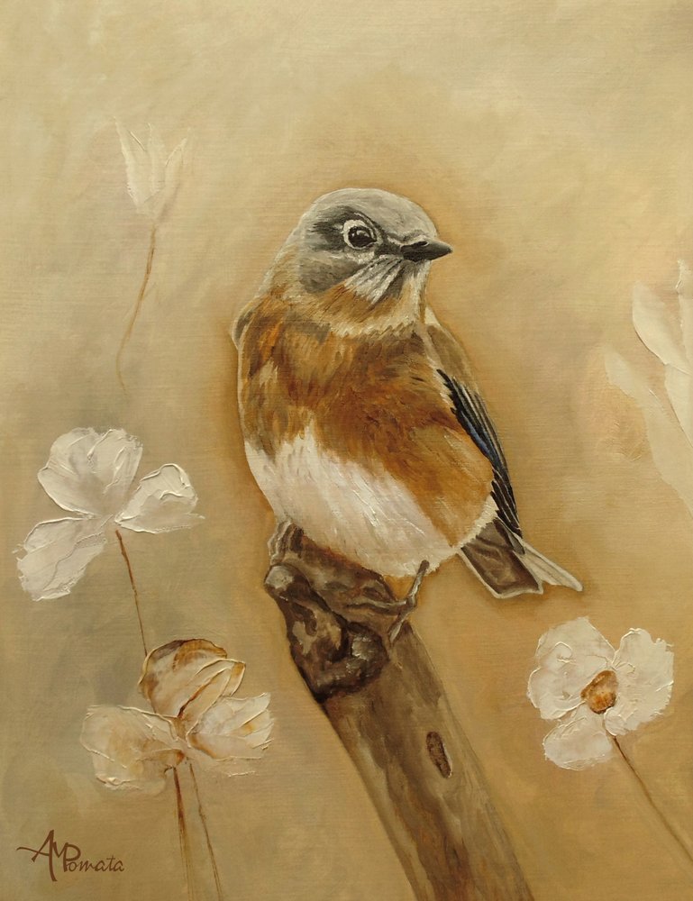  autorstwa Angeles M. Pomata