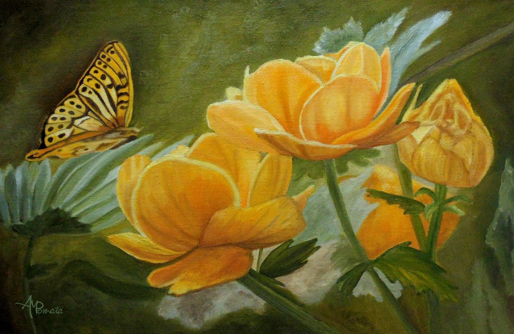  autorstwa Angeles M. Pomata