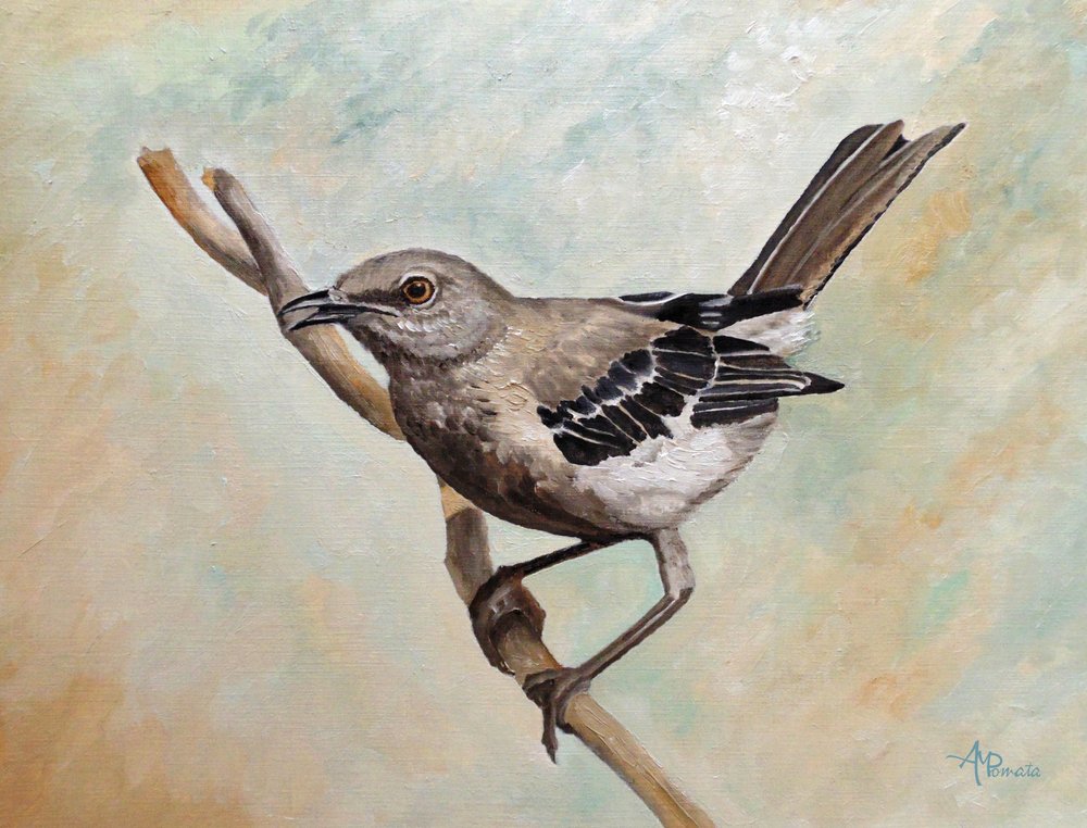  autorstwa Angeles M. Pomata