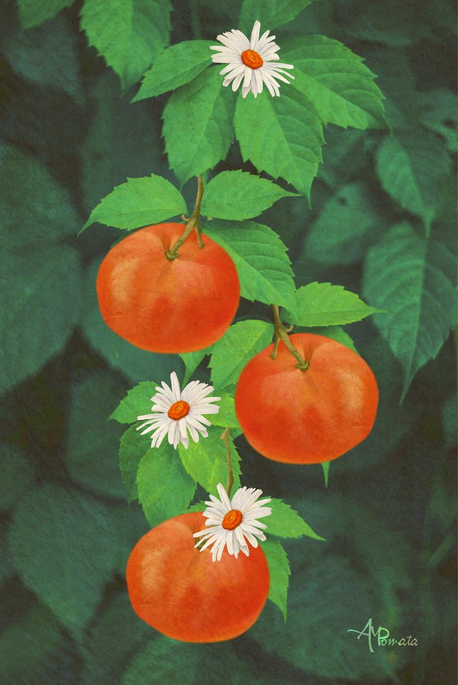  autorstwa Angeles M. Pomata