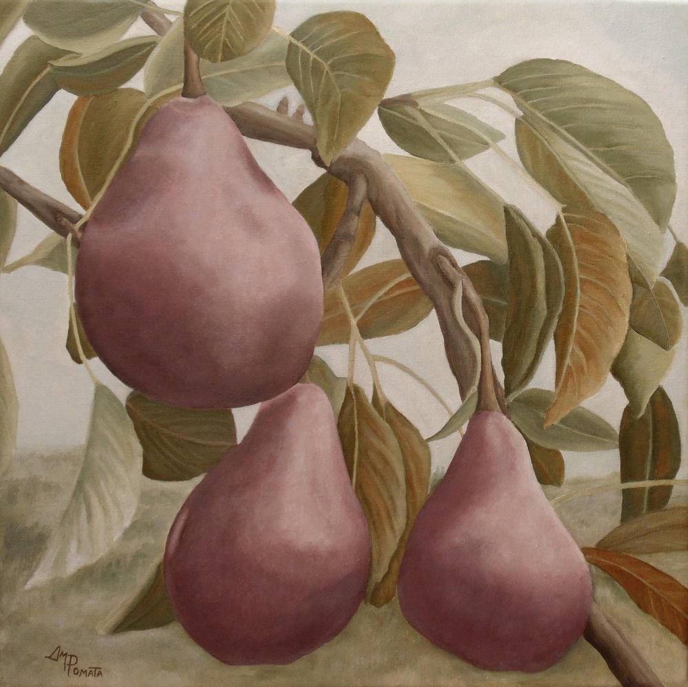  autorstwa Angeles M. Pomata