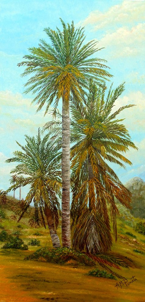 autorstwa Angeles M. Pomata