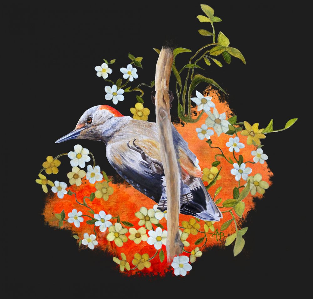  autorstwa Angeles M. Pomata
