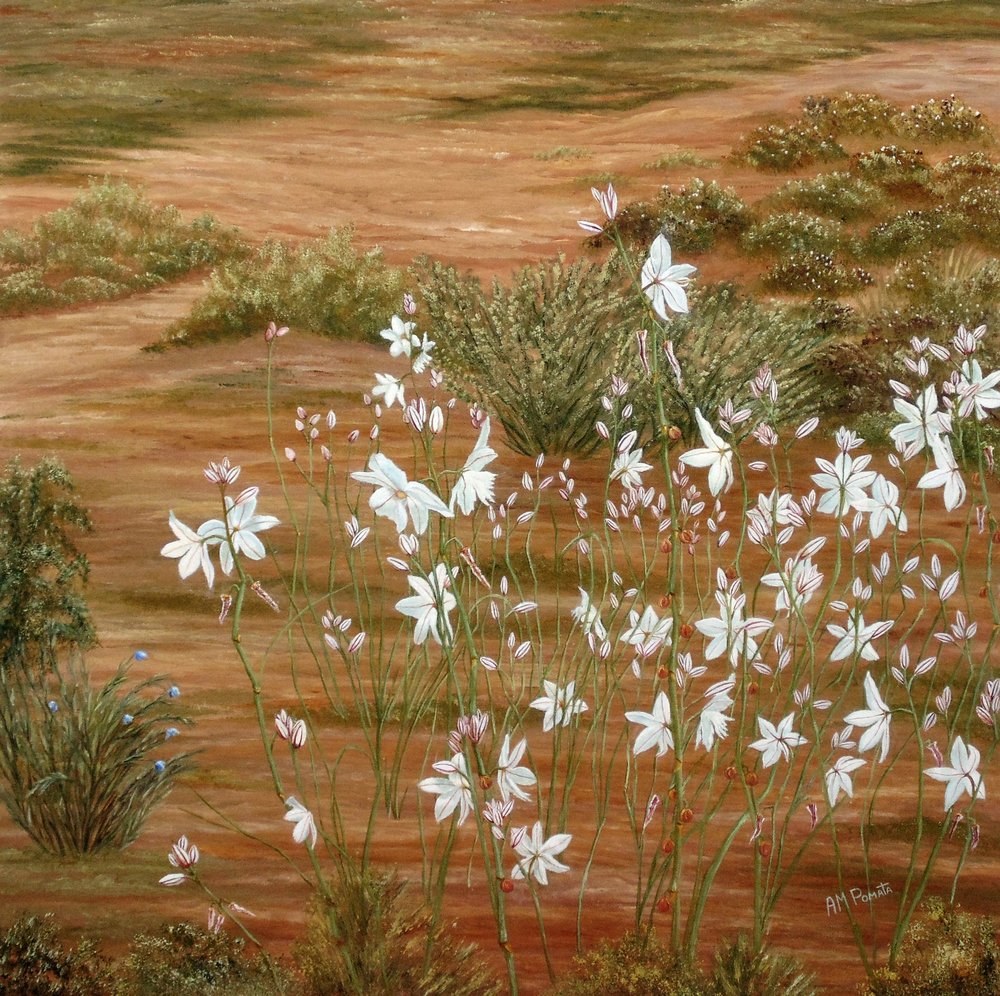  autorstwa Angeles M. Pomata