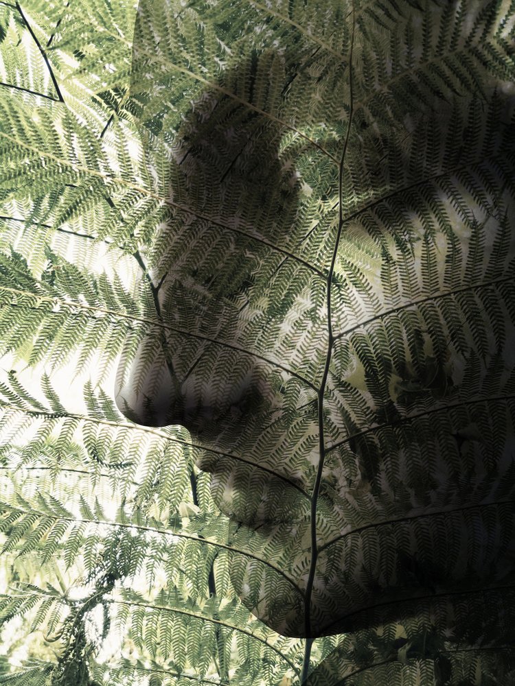 Botaniczny profil twarzy autorstwa Angelo Cerantola