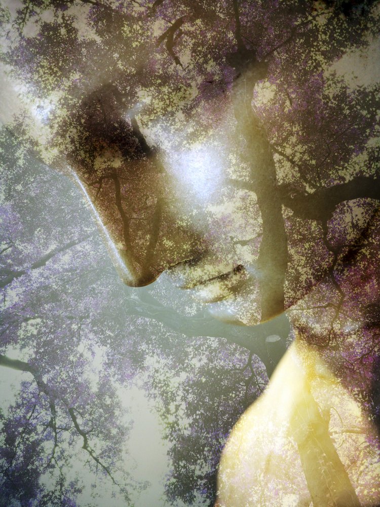Profil Ethereal Forest autorstwa Angelo Cerantola