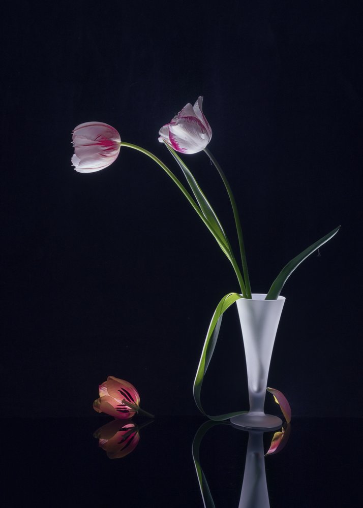 Elegancka martwa natura z tulipanami autorstwa Anna Qu