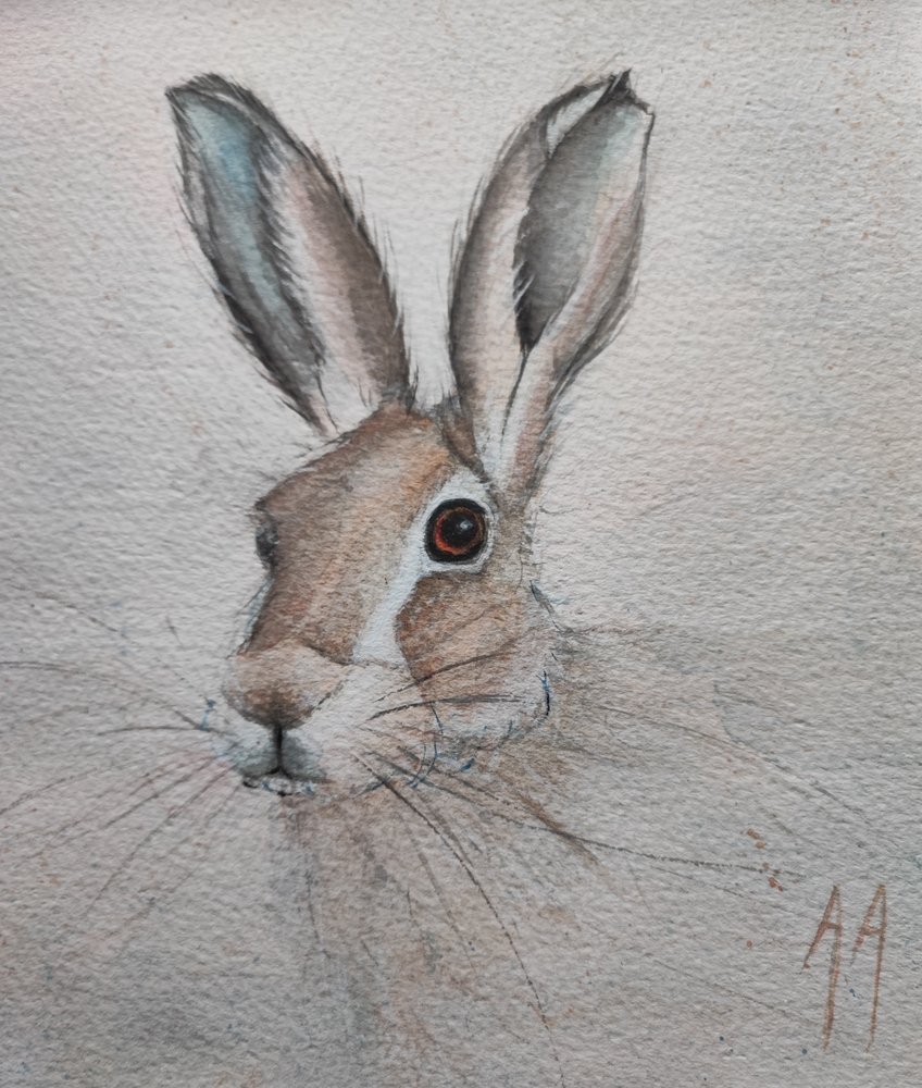 Delikatny portret zająca autorstwa Annette Armitage