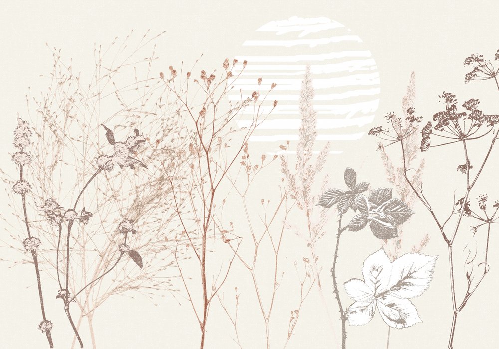 Suszone kwiaty słonecznika łąkowego autorstwa Annick