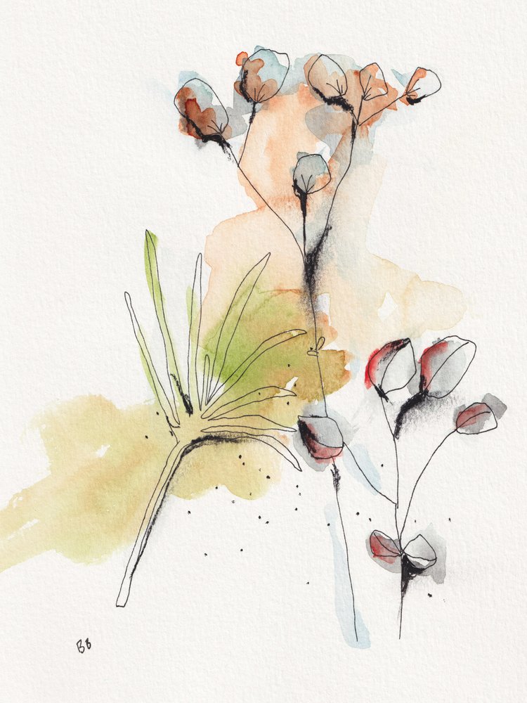  autorstwa Bronwyn Baker