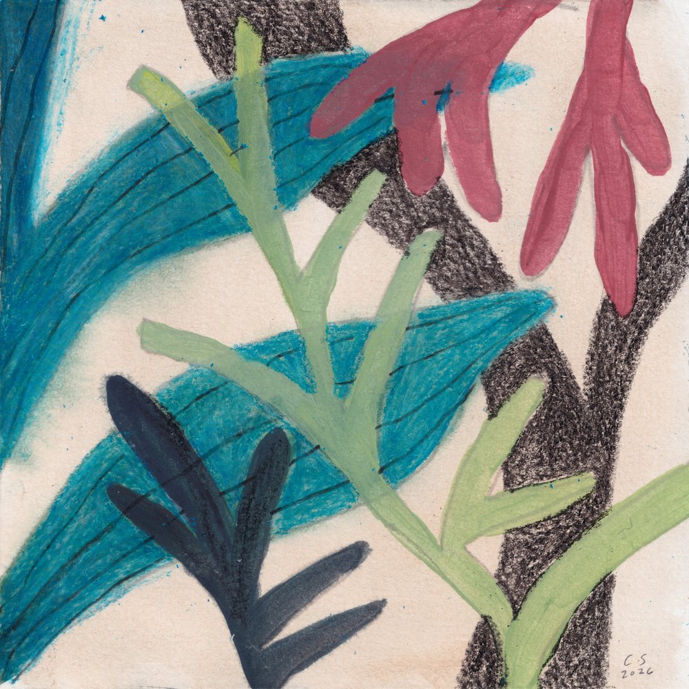 Kolorowa abstrakcyjna kompozycja z liści autorstwa Catalina Somolinos