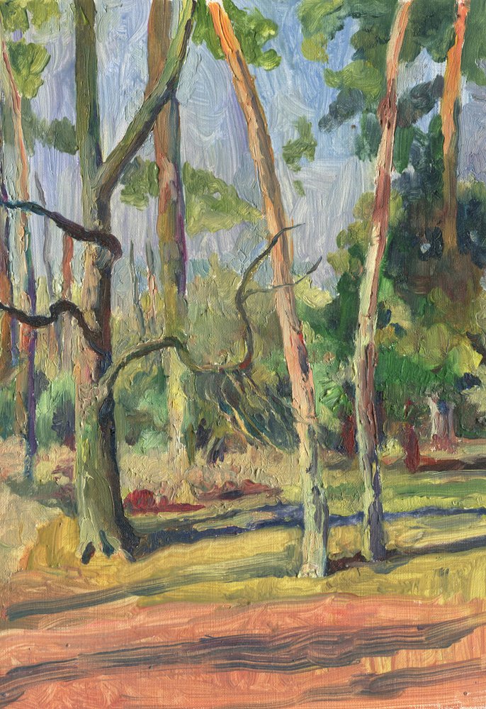 Oświetlona słońcem leśna ścieżka autorstwa Catalina Somolinos