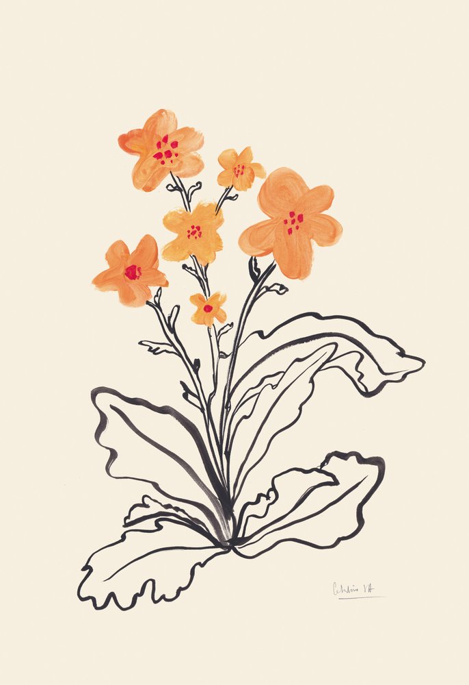 Żywe pomarańczowe kwiaty autorstwa Catalina Somolinos