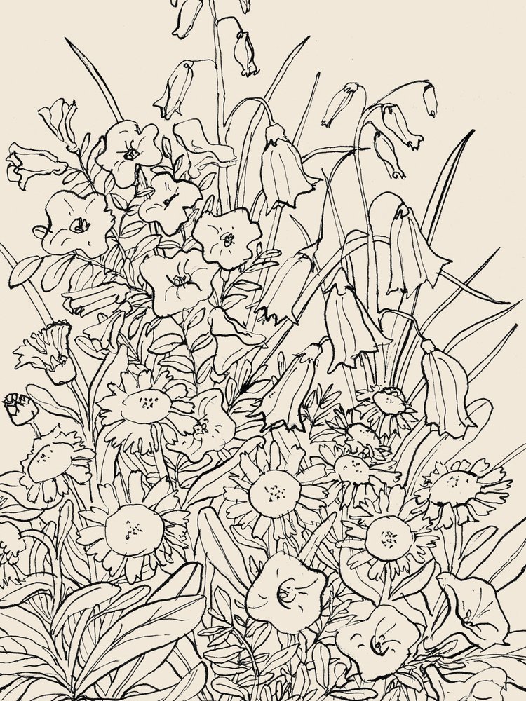 Dzikie kwiaty ogrodowe autorstwa Catalina Somolinos