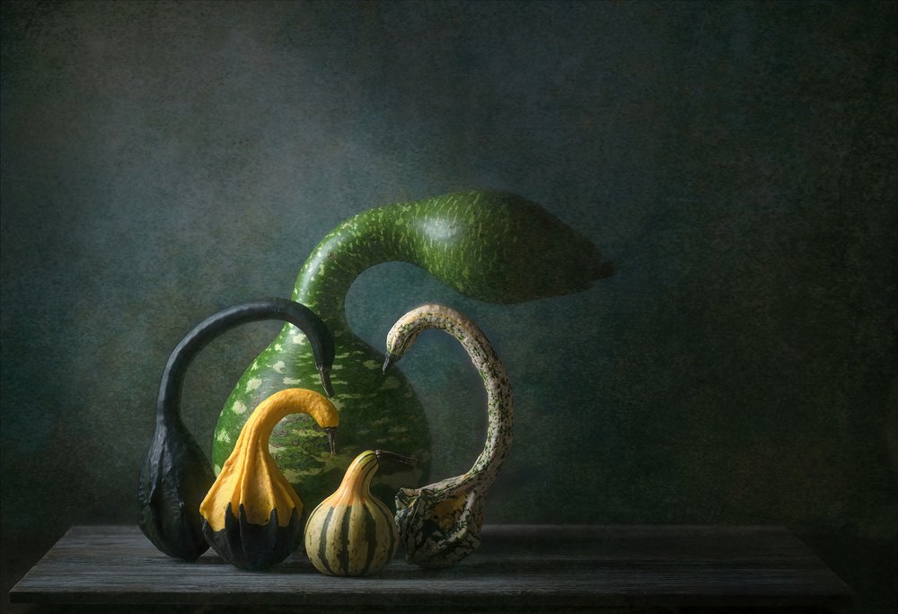 Martwa natura z jesiennymi tykwami autorstwa Catherine Wang