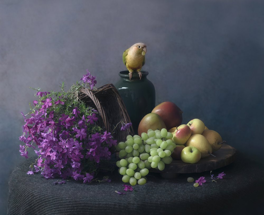 Martwa natura z papugą autorstwa Catherine Wang