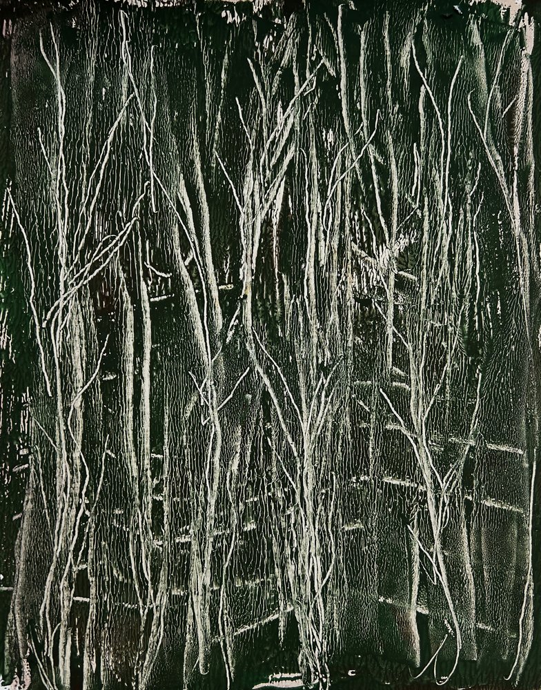  autorstwa Christina Misuro