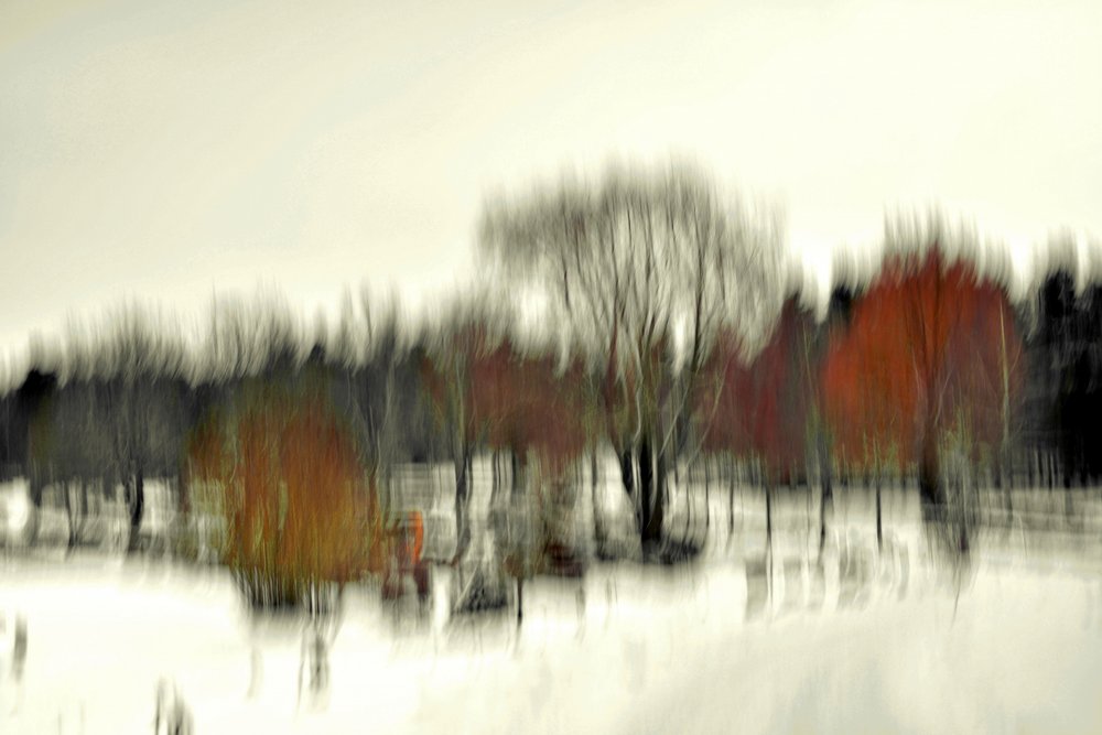 Abstrakcyjny zimowy las autorstwa Christina Sillen