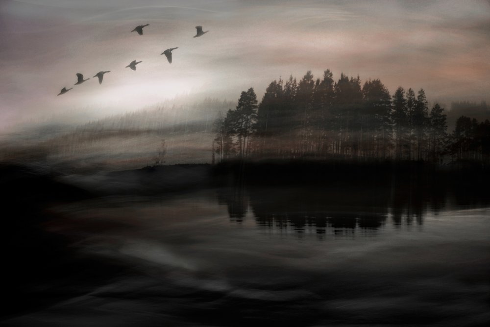 Ptaki nad Misty Lake autorstwa Christina Sillen