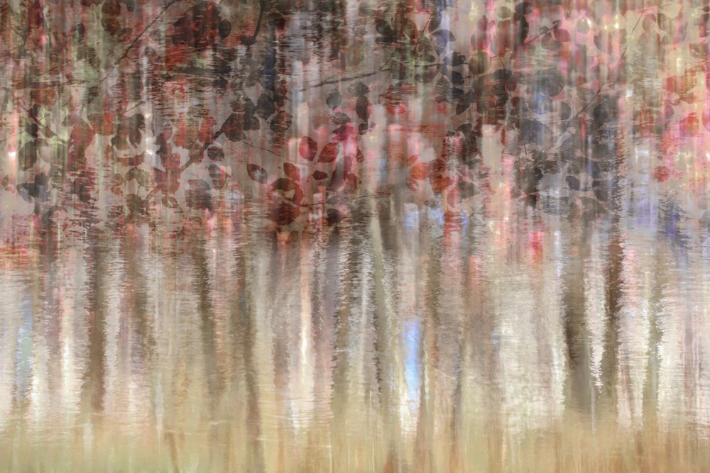 Marzycielskie jesienne refleksje autorstwa Christina Sillen