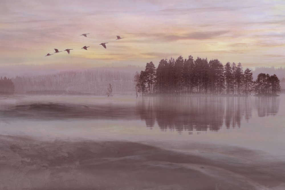 Lot ptaków nad Misty Lake autorstwa Christina Sillen