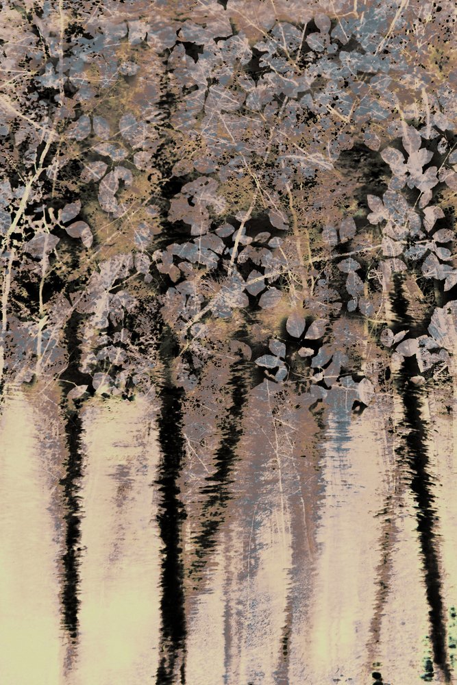 Refleksje z lasu Moody autorstwa Christina Sillen