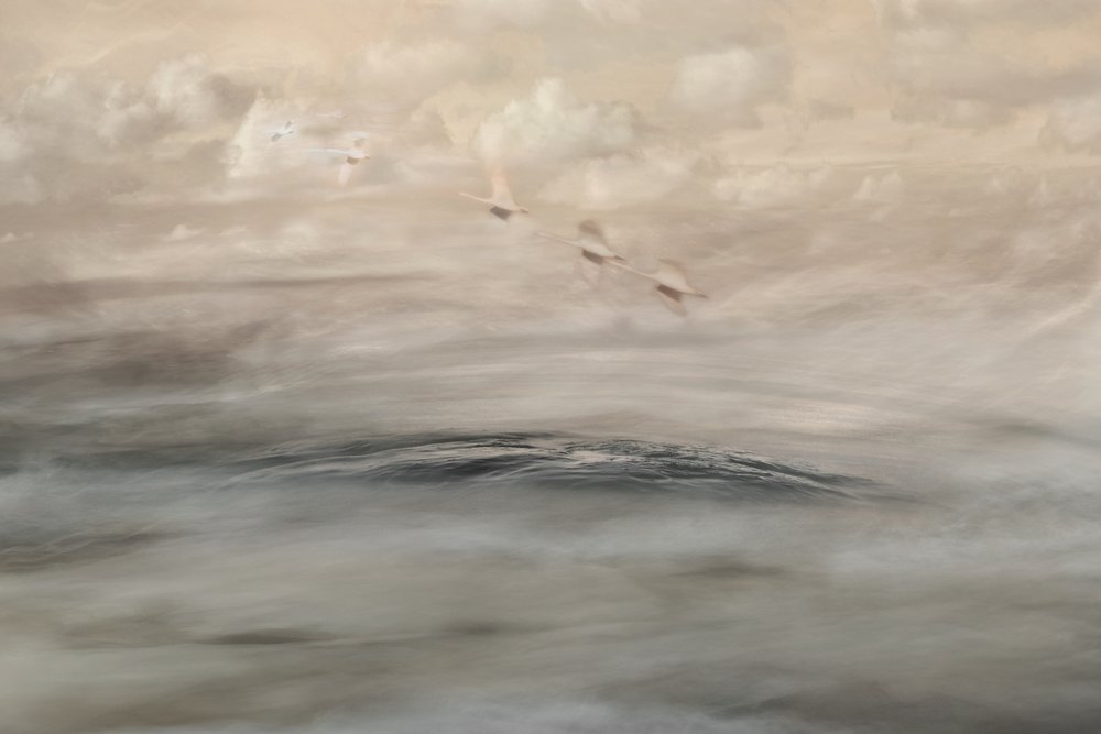 Silver Haze autorstwa Christina Sillen