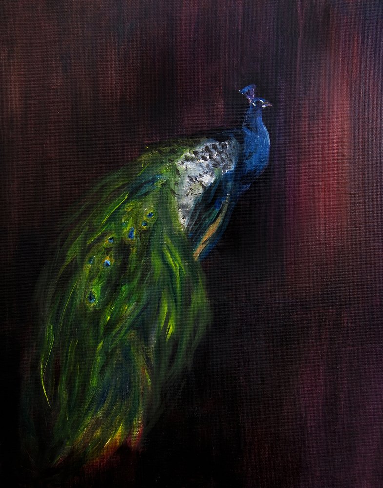 Portret dostojnego pawia autorstwa Christine Lindstrom