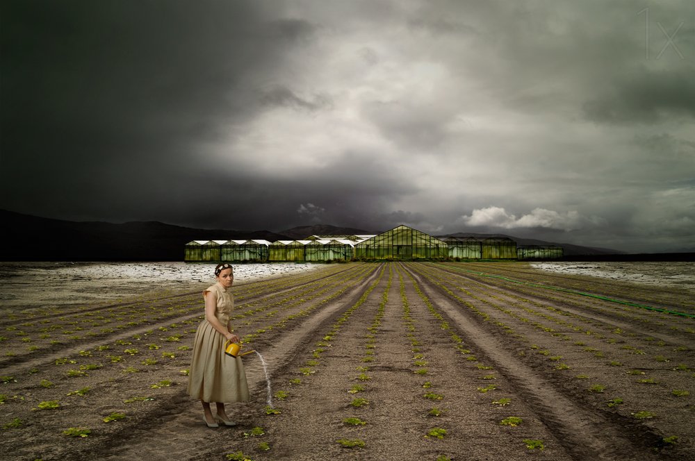 Samotny ogrodnik Stormy Field autorstwa Christine von Diepenbroek