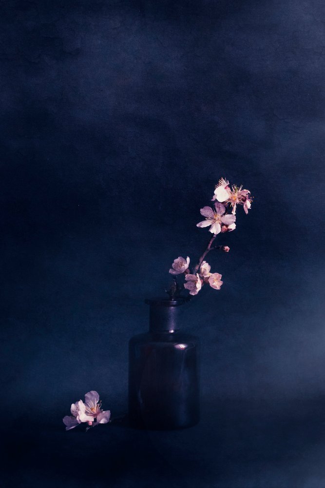 Wazon „Moody Floral” autorstwa Cicek Kiral