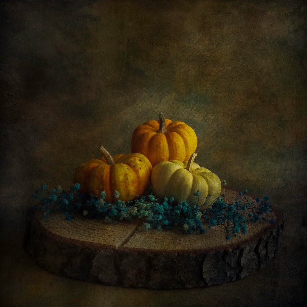 Dynia „Moody Harvest” autorstwa Cicek Kiral