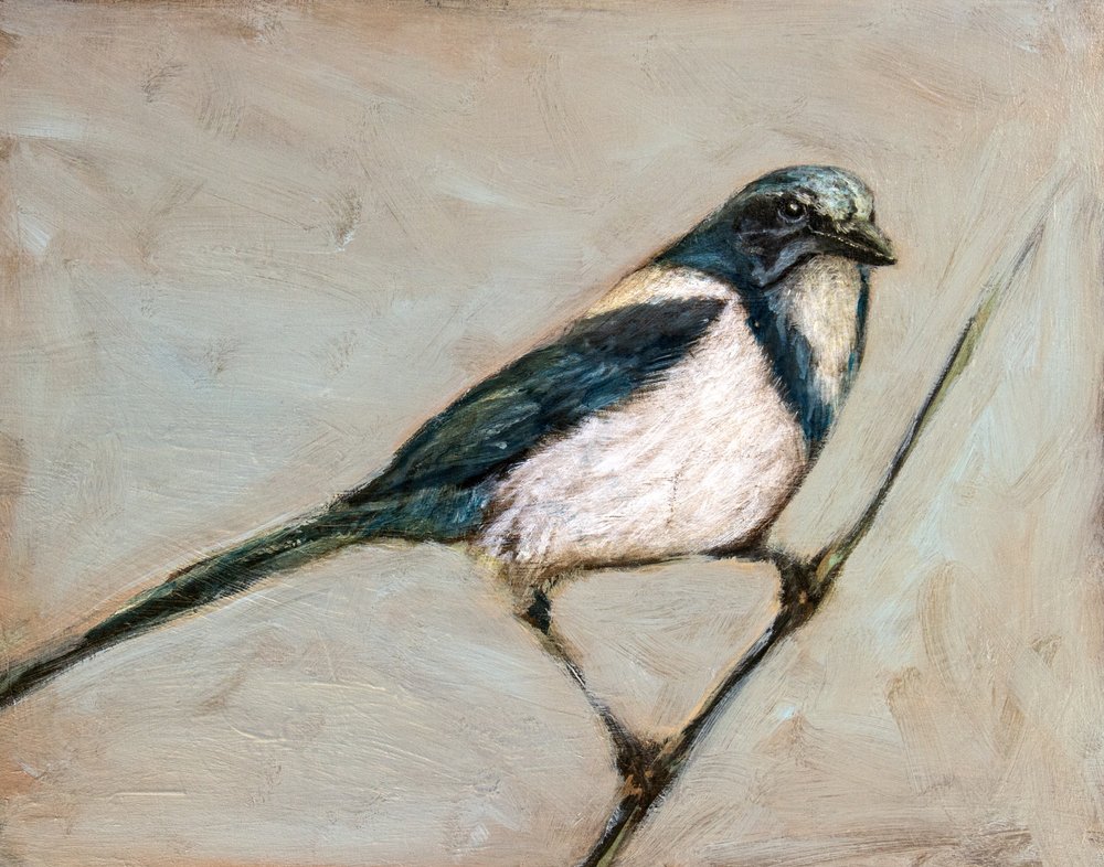  autorstwa Claire Lerner