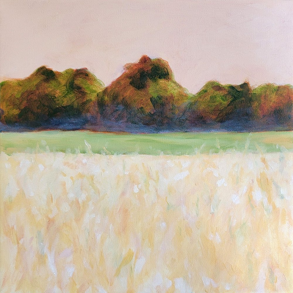  autorstwa Claire Whitehead