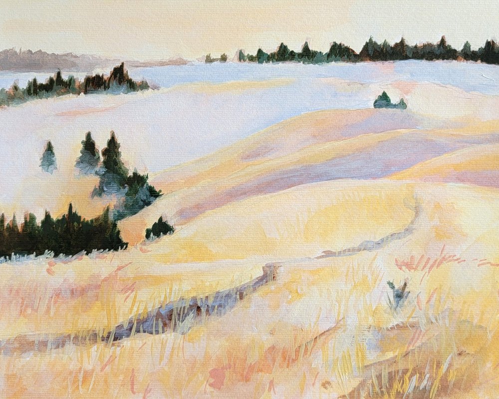  autorstwa Claire Whitehead