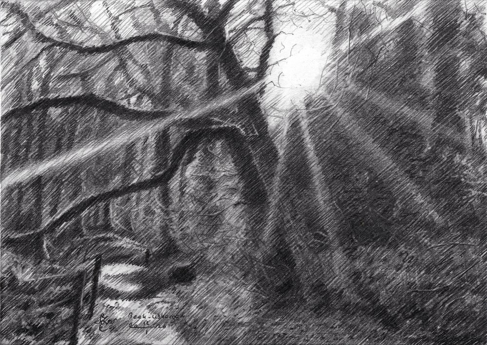  autorstwa Corné Akkers